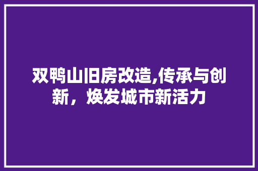 双鸭山旧房改造,传承与创新，焕发城市新活力