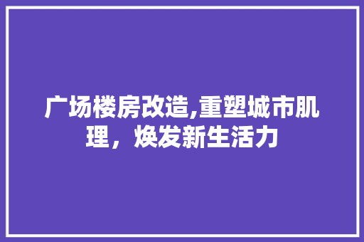 广场楼房改造,重塑城市肌理，焕发新生活力