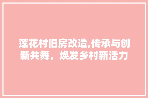 莲花村旧房改造,传承与创新共舞，焕发乡村新活力