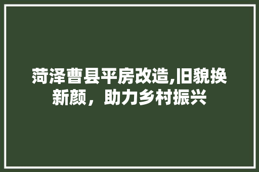 菏泽曹县平房改造,旧貌换新颜，助力乡村振兴
