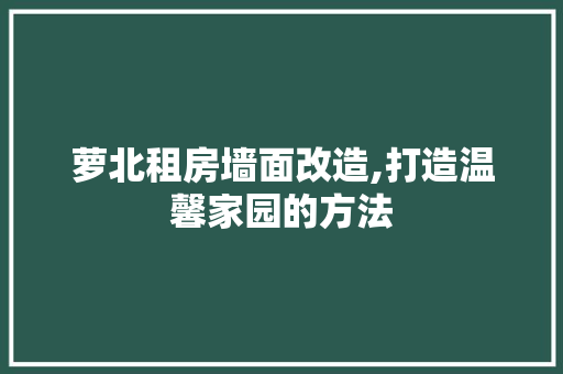 萝北租房墙面改造,打造温馨家园的方法