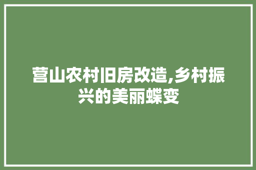 营山农村旧房改造,乡村振兴的美丽蝶变