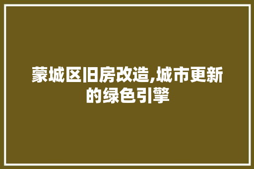蒙城区旧房改造,城市更新的绿色引擎