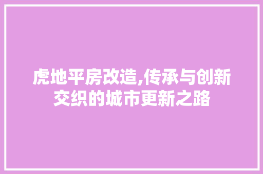 虎地平房改造,传承与创新交织的城市更新之路