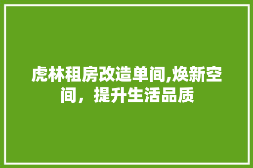 虎林租房改造单间,焕新空间，提升生活品质