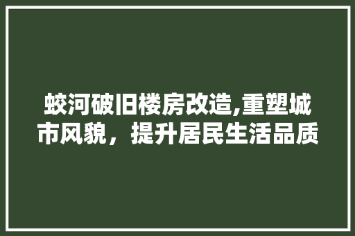 蛟河破旧楼房改造,重塑城市风貌，提升居民生活品质