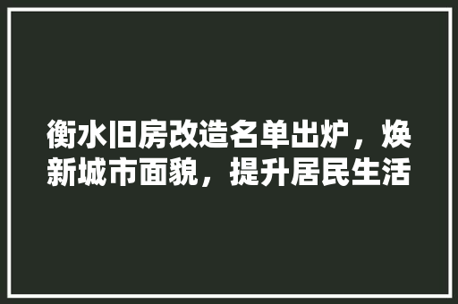 衡水旧房改造名单出炉，焕新城市面貌，提升居民生活品质