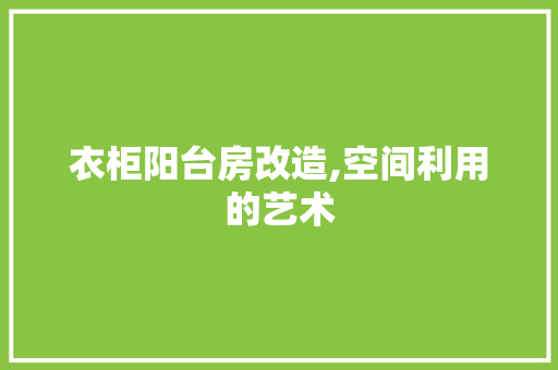 衣柜阳台房改造,空间利用的艺术