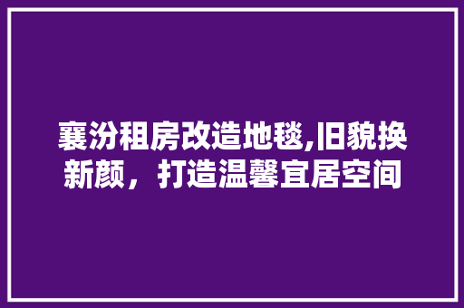 襄汾租房改造地毯,旧貌换新颜，打造温馨宜居空间