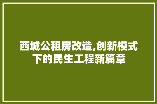 西城公租房改造,创新模式下的民生工程新篇章