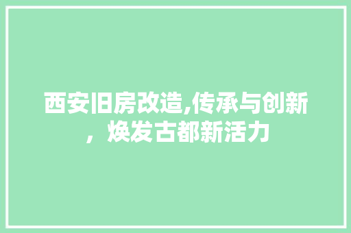 西安旧房改造,传承与创新，焕发古都新活力