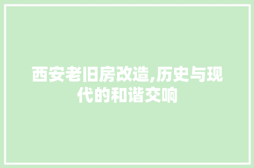 西安老旧房改造,历史与现代的和谐交响