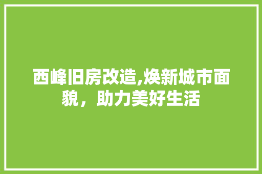西峰旧房改造,焕新城市面貌，助力美好生活