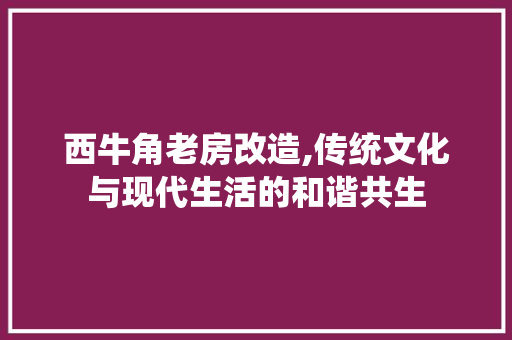 西牛角老房改造,传统文化与现代生活的和谐共生