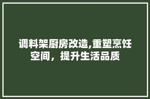 调料架厨房改造,重塑烹饪空间，提升生活品质