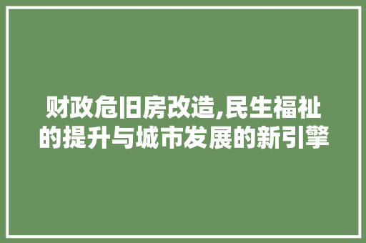 财政危旧房改造,民生福祉的提升与城市发展的新引擎