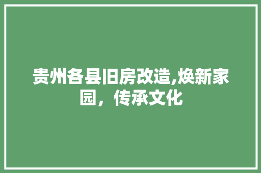 贵州各县旧房改造,焕新家园，传承文化