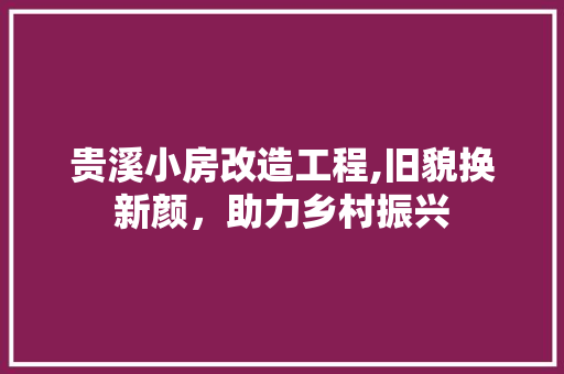 贵溪小房改造工程,旧貌换新颜，助力乡村振兴
