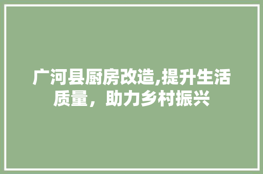 广河县厨房改造,提升生活质量，助力乡村振兴