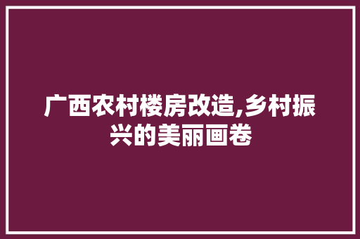 广西农村楼房改造,乡村振兴的美丽画卷