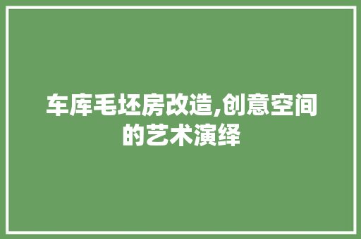 车库毛坯房改造,创意空间的艺术演绎