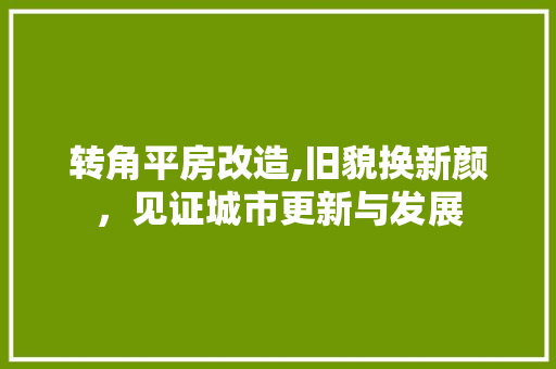 转角平房改造,旧貌换新颜，见证城市更新与发展