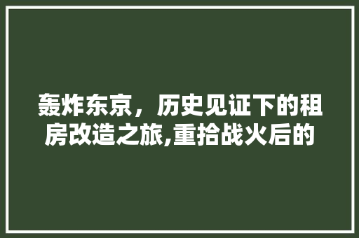 轰炸东京，历史见证下的租房改造之旅,重拾战火后的繁华记忆