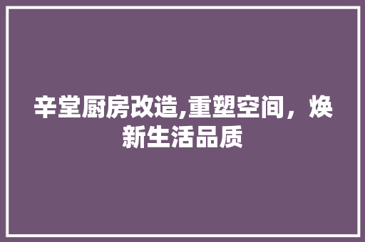 辛堂厨房改造,重塑空间，焕新生活品质