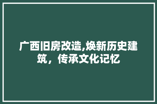 广西旧房改造,焕新历史建筑，传承文化记忆