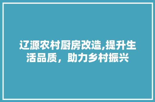辽源农村厨房改造,提升生活品质，助力乡村振兴