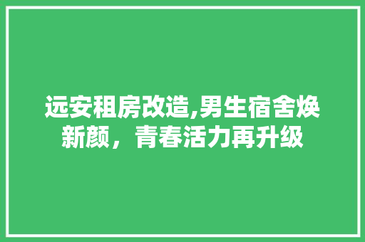 远安租房改造,男生宿舍焕新颜，青春活力再升级
