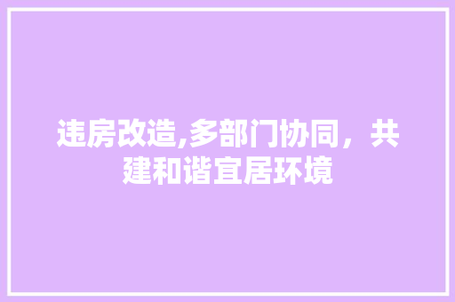 违房改造,多部门协同，共建和谐宜居环境