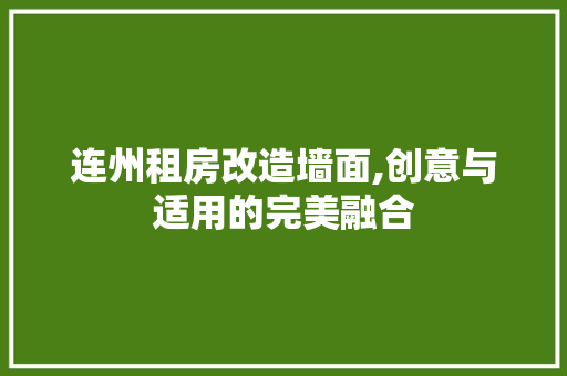 连州租房改造墙面,创意与适用的完美融合