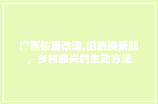 广西破房改造,旧貌换新颜，乡村振兴的生动方法