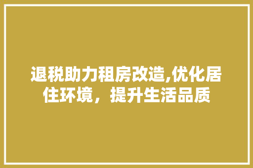 退税助力租房改造,优化居住环境，提升生活品质
