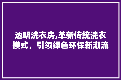 透明洗衣房,革新传统洗衣模式，引领绿色环保新潮流