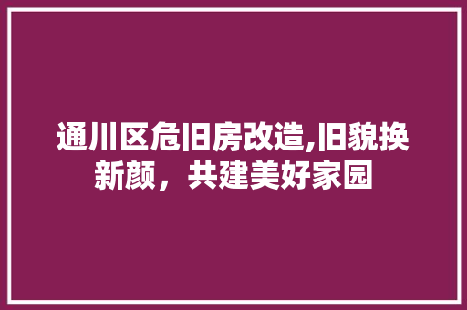 通川区危旧房改造,旧貌换新颜，共建美好家园