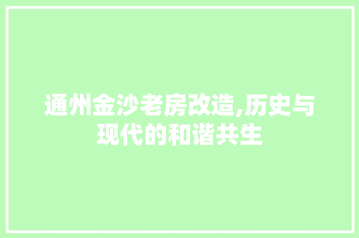 通州金沙老房改造,历史与现代的和谐共生