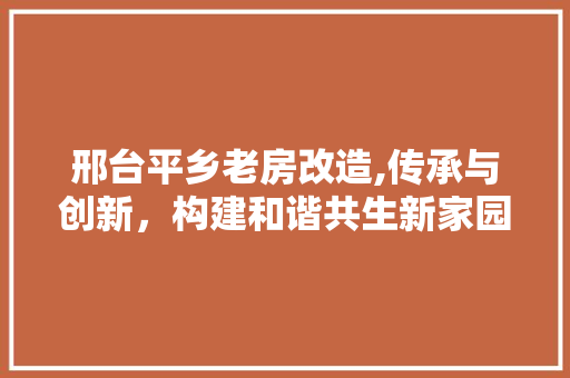 邢台平乡老房改造,传承与创新，构建和谐共生新家园