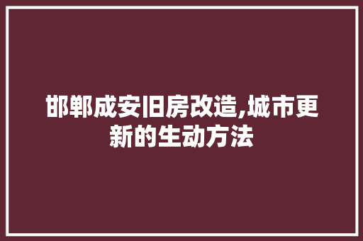 邯郸成安旧房改造,城市更新的生动方法