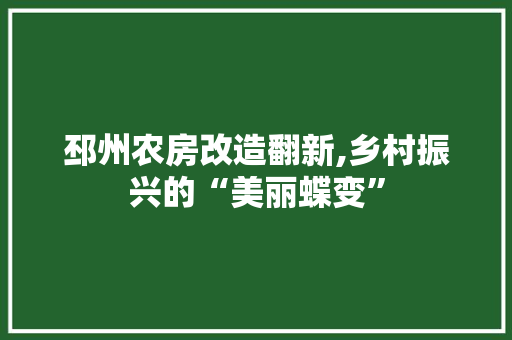 邳州农房改造翻新,乡村振兴的“美丽蝶变”
