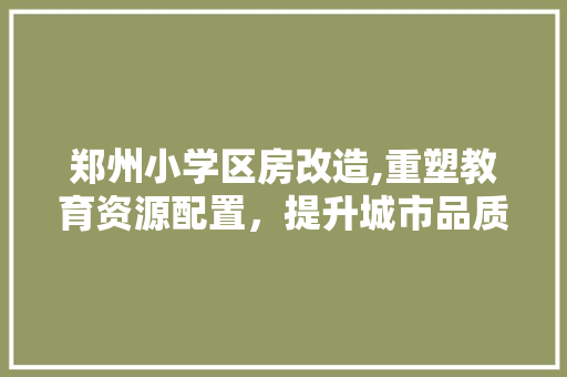 郑州小学区房改造,重塑教育资源配置，提升城市品质生活