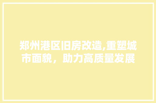 郑州港区旧房改造,重塑城市面貌，助力高质量发展