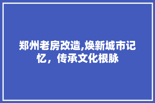 郑州老房改造,焕新城市记忆，传承文化根脉