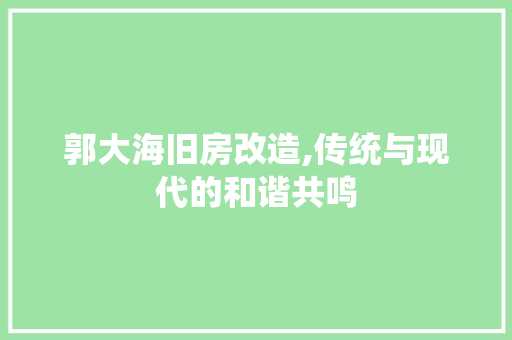 郭大海旧房改造,传统与现代的和谐共鸣