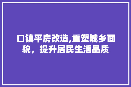 口镇平房改造,重塑城乡面貌，提升居民生活品质