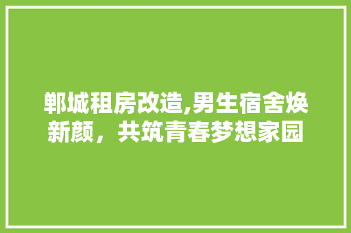 郸城租房改造,男生宿舍焕新颜，共筑青春梦想家园