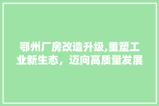 鄂州厂房改造升级,重塑工业新生态，迈向高质量发展