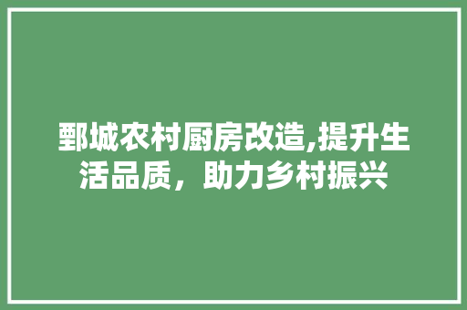 鄄城农村厨房改造,提升生活品质，助力乡村振兴
