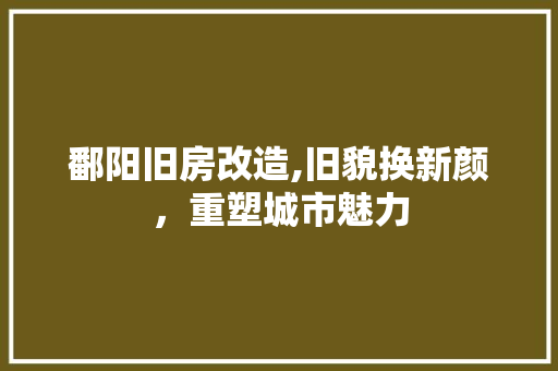 鄱阳旧房改造,旧貌换新颜，重塑城市魅力